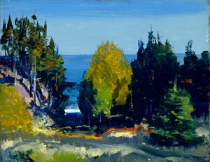Het bos - Monhegan, 1911
