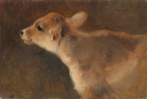 Een Kalf, 1879