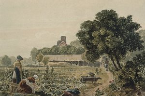 Moestuin in Chelsea