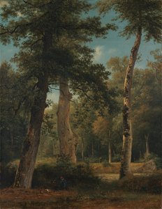 Een bos te Fontainebleau door Georgius Jacobus Johannes van Os