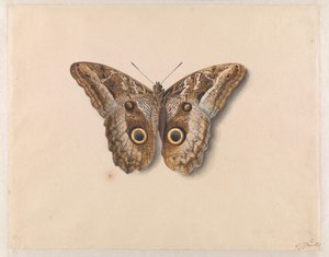 Eene kapel door Georgius Jacobus Johannes van Os