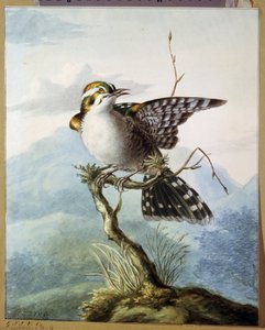 Een klein vogeltje door Georgius Jacobus Johannes van Os