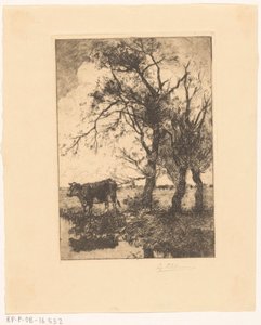 Koe aan de waterkant door Gerard Altmann (signed by artist)