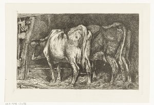 Twee koeien bij een voederbak door Gerard Jan Bos