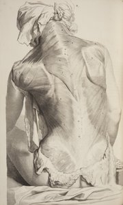 Anatomia Humani Corporis door Govard Bidloo