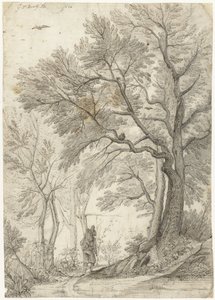 Bos van de Villa Madama buiten Rome