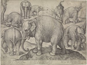 Acht olifanten door Gerard van Groeningen