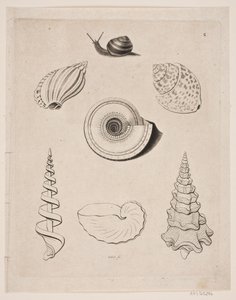 Bord met slakken door Gerhard Ludvig Lahde