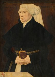 Portret van een dame door German 16th Century