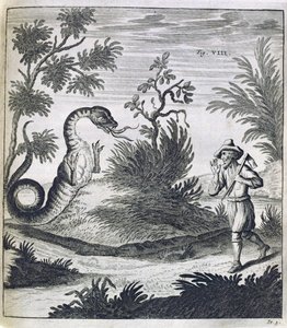 Een Angstaanjagende Draak, ca. 1660 door German School