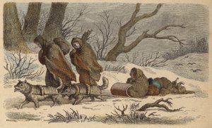 Een inheemse Amerikaanse slee (gekleurde gravure) door German School