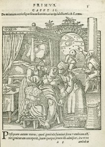 Een vrouw in arbeid, illustratie uit hoofdstuk 2, Boek 1 van Over de conceptie en groei van de mens door Rueff, 1587 door German School