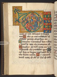 Grote ingelijste initialen in goud en kleuren met blad- en soms dierlijke en antropomorfe ornamenten (perkament) door German School