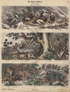Afrika: een karavaan gevangen in een zandstorm in de Sahara; de kust van Guinee; Zuid-Afrika (gekleurde gravure)