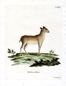 Alpen muskushert door German School
