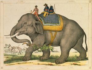 Een olifant gebruikt om op zijn eigen soort te jagen, picturaal pamflet uitgegeven door Joseph Scholz, Mainz, ca. 1860