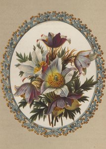 Anemonen (chromolitho) door German School