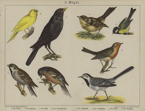 Dieren door German School