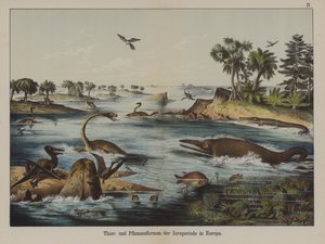 Dieren en planten van de Jura-periode in Europa door German School