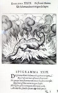 Zoals de Salamander in vuur leeft, zo ook de Steen, Embleem XXIX uit Atalanta fugiens door Michael Maier, 1617 door German School