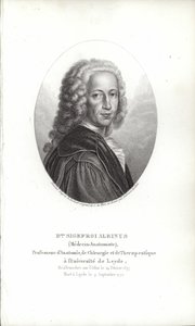 Bernhard Siegfried Albinus door German School
