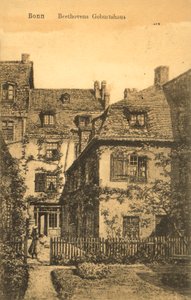 Bonn, Geboorteplaats van Beethoven