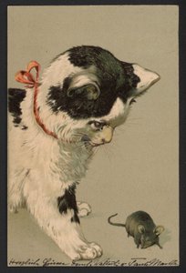 Kat speelt met muis (kleurenlitho) door German School