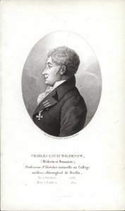 Charles Louis Wildenow door German School
