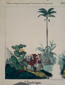 Educatieve poster met flora en fauna van Zuid-Amerika, linkerkant, uitgegeven door F. Wentzel, Weissenburg, 1840