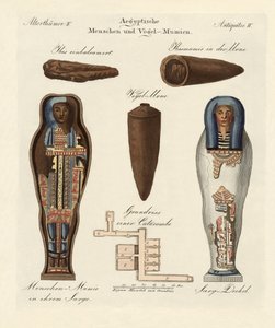 Egyptische mummies door German School