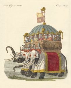 Olifantenkasteel van Grote Khan Kublai door German School