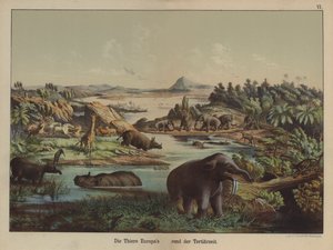 Europese dieren uit het Tertiair door German School