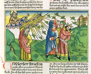 Exodus 10:1-20 De zeven plagen van Egypte: de plaag van sprinkhanen, uit de Neurenbergse Bijbel (Biblia Sacra Germanaica)