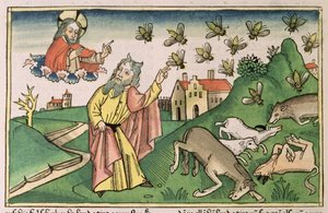 Exodus 8:20-32 De Zeven Plagen van Egypte: Mozes en de zwerm vliegen, uit de 