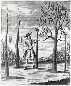 Tuinieren en plantenziekten, een illustratie uit 