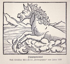Nijlpaard uit Sebastien Münster