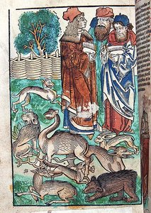 Illustratie uit Hortus Sanitatis door German School