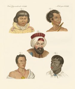 Illustratie van de belangrijkste menselijke rassen