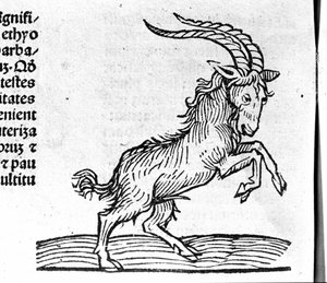 De Steenbok - in Verhandeling door Johannes Angeli De Magnisconnectionibue annorum revolutionibus ac eorum perfectionibus. Augsburg, Erhard Ratdolt