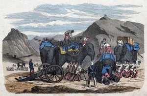 Laden van olifanten voor de reis van meneer Bock naar Dresden. Uit 