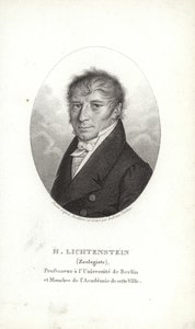 Martin Lichtenstein door German School