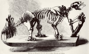 Megatherium skelet in het British Museum door German School