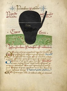 Uit de Alchemistische Verhandelingen, laat 15e eeuw
