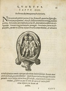 Niet-identieke tweelingen in de baarmoeder, illustratie uit hoofdstuk 14, Boek 4 van Over de conceptie en groei van de mens door Rueff, 1587 door German School