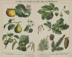 Planten