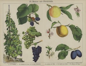 Planten door German School