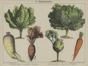 Planten door German School