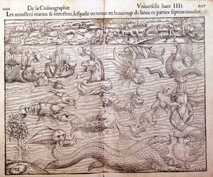 Plaat die alle soorten zee- en landmonsters vertegenwoordigt gevonden in noordelijke regio