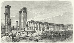 Ruïnes van de stad Palmyra, Syrië (gravure) door German School