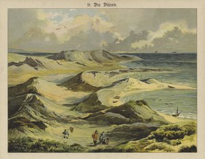 Zandduinen